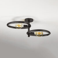 Plafondlamp Pebble 2-lichts / Artic zwart