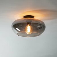 Plafondlamp Elevate 1-lichts / Smoke grey glas