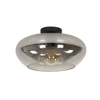 Plafondlamp Elevate 1-lichts / Smoke grey glas